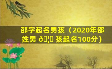 邵字起名男孩（2020年邵姓男 🦉 孩起名100分）